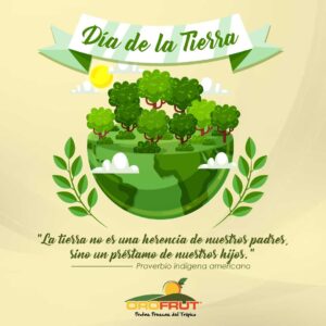 Portafolio Kerawa Creativa, Orofrut