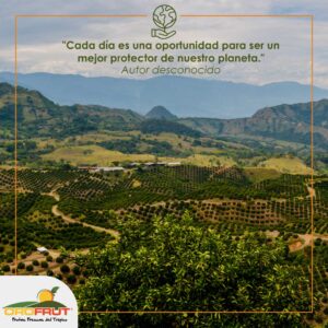 Portafolio Kerawa Creativa, Orofrut