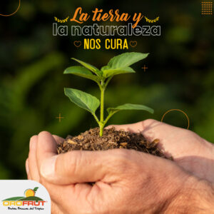 Portafolio Kerawa Creativa, Orofrut